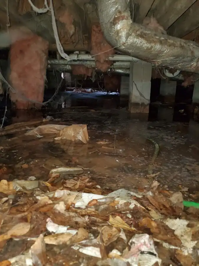 Crawl space flood assessment for Leak Detection & Repair in Twin Lakes